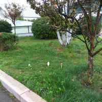 277639617bd735b8febe49d6eea6d546dcc56134