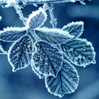 5d2478d835fea574a3b496afe5cb8ceaddbbe334