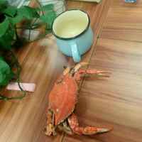 7624a65005cbdea9c41f597a90bea597ad35aaed