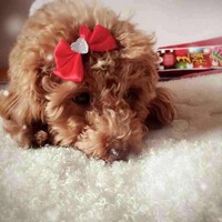 48fdca42fad41c0b64a1f5d9eade9e30a28eabae