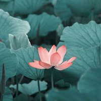 Fb5c18fc0afa1c957eaf38d588414913c8f39eb1