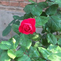 4b0908829248f743fc56e8a0442ad7ce44a8cd12