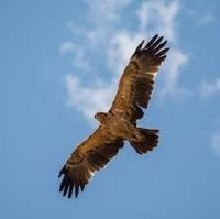 3dcc593c133a86d20da8aeeb6540c7ae3bf18d45