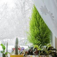 Bc0121b35060dfe7c52c45e7e03da78f542d07c0