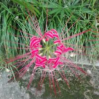 14041df6e9b9a24fa4fe52fcd81a9858539e2876