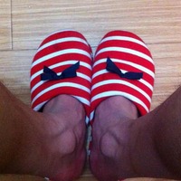 Ce7603509f9e0259f22ab63131099bc3c285f1ec