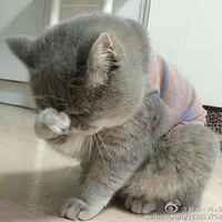 7d29cbfc3f7c8f76e49ae0084f0d2fa16472cbcc