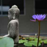 F47334cbf16a9bf03b9942e60955ce3e2e950ee8