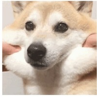 25e81cc79b6b2e75fd60acf7c226638eba577e55