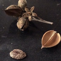 81f3bfdc8c6a935fb0b8e86f3ee0635a5cfb0fea