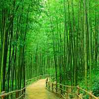 03940f263848ace797ed3d015f097e404a975d1f