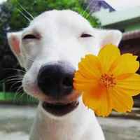 F506b54633574b0052fe9a7c59789629fa1b9440