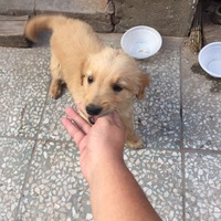 08f1df02013b460a44c34bdf6cbc0aebd0494cf0