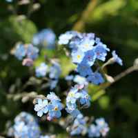 2a09e1d0b668e3f01df73aba50b1559e1b99079f