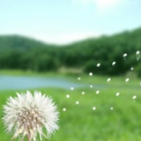 40a954c66221e37db9c2043c13e97f0e1fc01b9b