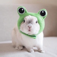 15870f0ef910ad17b6a4acd892b98ec243088d05