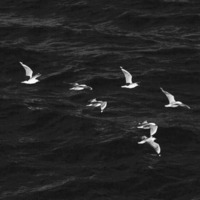 0d73ff8c84b793e1b2af61487c09dc31c8b5ef8a