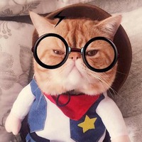 Ef9cb12980e73e6868ea029de93983e9aae03721