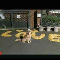 F1dc87a97b5965d2ba6c6b20535d0d74524f30f8