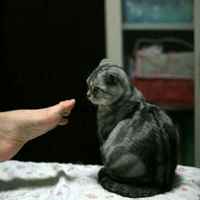 3f0dddf2ec9bbd178d0c7e57f0f19c4fd53b1630