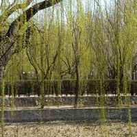 Fe7a2d7009441ea6d486f69f33afce65294653f8