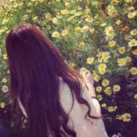 C93f69c5fa0f5ade707db7e971f2b99a072b7939