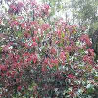 816eddd2db0c51d3a16ab025b98cdd9d74d07f01