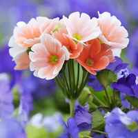 Bab9e0d49a78c85c7f508bc2f29552d9f587fd29