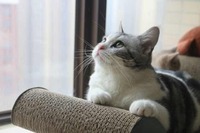 F429f8d9f4514806c838b290c7371658158fce24