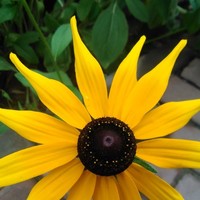 1208a6740bcfff85b802a96c277e22f50226fe7a