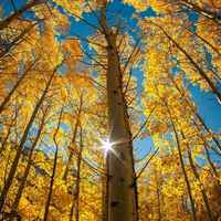 32452a4db7f10d38cded9a873df7fac8e4c7dbdc