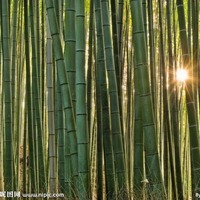 D7b269adac34d7faece174cf33ba897298158bee