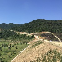 A7ffa6520aa188d650d457b4e8c39d398952dc0e