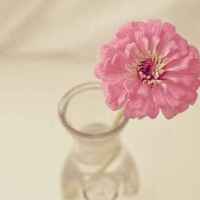 7b6a0972db513da9c97d30cf820dcf4233f0dfc0