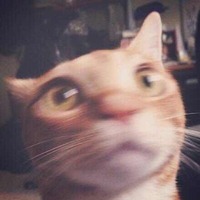 D22ad5f2665459fd38cedd793d9bd1612e15dcd7