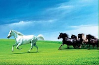 473a142913cedfabeb9409485dbf4070e0158a37