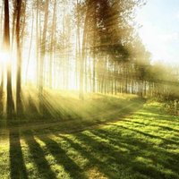 9aa7929ff70a5a45867e0db5846152310999df50