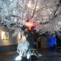 A16b9583013b9249541f9b9782fbb98699a89a4e