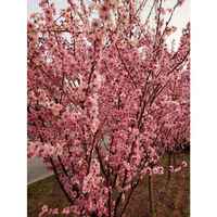 2005400f163808153568597723e787b8609eadfb