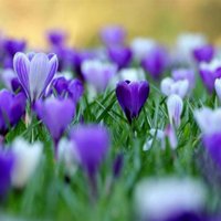 8632c3e54383f8309197daae9726c7667d82b297