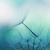 A16f2200d441f5bb78e5811133c54cf7b1b30d16