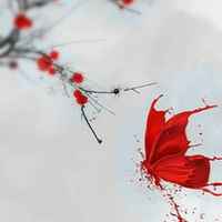 3a4d0baa10e1db12d217ee5cca63439a1b198422