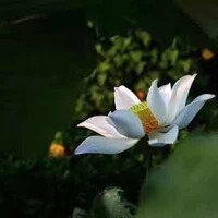 94f1573729bc71ad8a5b503e21016dd77c1f2383