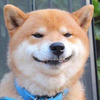 D4dd13b4253b278a42120afd5737e14034aa5305