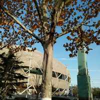 533ea854f99e996f6447c7da63dd8e8177c828a5