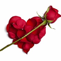 04284ff9d1102fd56df1dee4511ba4d16678676b