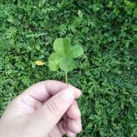 1e2b7b444527809819f5085f948a07b8f741f598