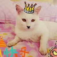 A670f30df5e927d43e2205341f5bc165575e409a