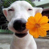 1ba9e4dab08fd61ddb47b74f045ea8c263c72338