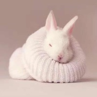 21c3ffe3cf8ef04c84e57d365f78fac2144404ae